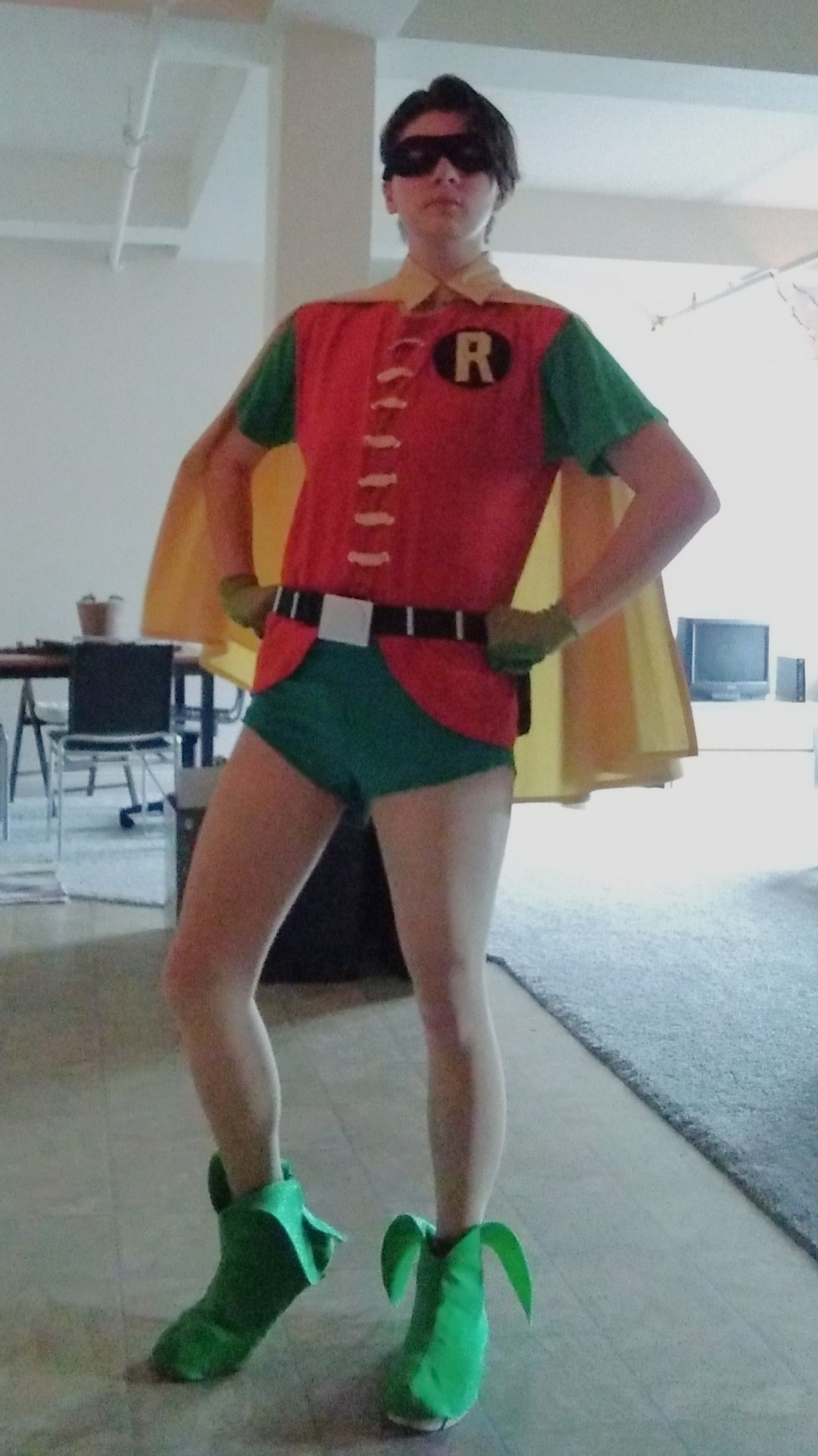 Robin costume