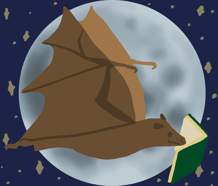 bat reading a book