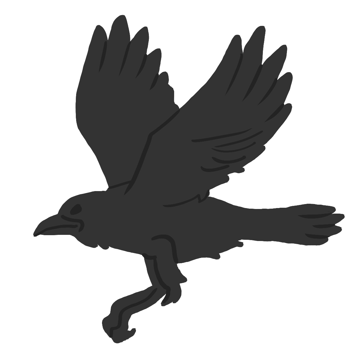 crow flying