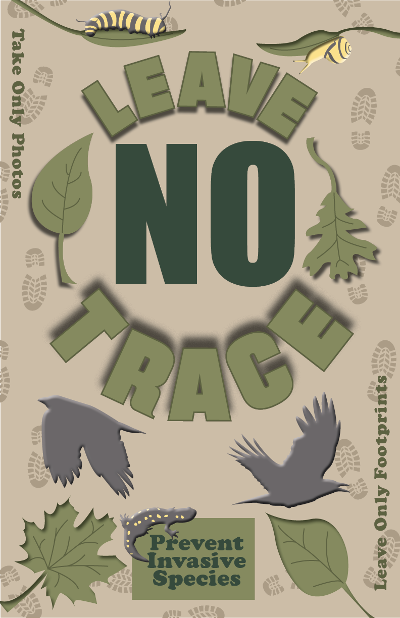 leave no trace poster